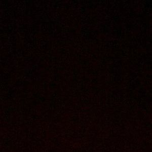 Meet your Posher, Estela